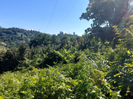 Land parcel, Ground area for sale in the suburbs of Batumi. Saliʙauri. Photo 6