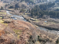 Купить частный дом с земельным участком в пригороде Батуми, Грузия. Фото 3