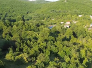 House for sale on the edge of a pine forest in the suburbs of Kutaisi. Buy a house on the edge of a pine forest in the suburbs of Kutaisi, Georgia. Photo 14