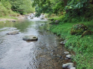 მიწის ნაკვეთი კურორტულ ზონაში ქობულეთში, საქართველო. იყიდება მიწა ისტორიულ და საკურორტო ზონაში. მდინარესთან. ფოტო 2