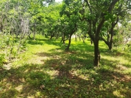 Продается земельный участок в пригороде Батуми, Хелвачаури. Фото 1