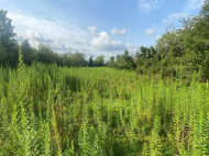 Купить частный дом с земельным участком в пригороде Самтредиа, Грузия. У реки. Фото 8