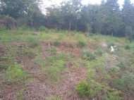 In the surroundings of Batumi, the land plot is sold Photo 7