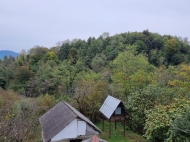 Купить частный дом с земельным участком в Чохатаури, Грузия. Фото 30