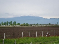 An existing agricultural complex for sale. Marneuli, Georgia. Photo 10