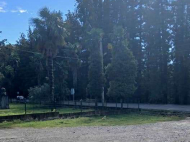 Land parcel, Ground area for sale in a resort district of Ozurgeti, Georgia. Near the river. Photo 3