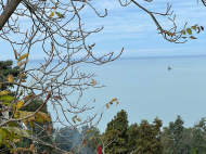 Продается земельный участок у моря в Махинджаури, Грузия. Вид на море. Фото 4