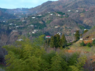 ვიყიდი კერძო სახლს საკურორტო რაიონში ჩაისუბანი, საქართველო. ფოტო 6