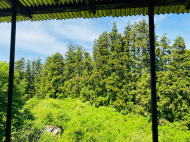 Продается частный дом с земельным участком в Натанеби, Грузия.  Фото 14