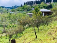 Продается земельный участок с прекрасным видом на горы в Тхилнари, Аджария, Грузия. Фото 3