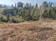 იყიდება მიწის ნაკვეთი ზღვისა და მთების ხედით ციხისძირში. საქართველო ფოტო 3