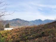 Купить частный дом в курортном районе Сахалвашо, Грузия. У реки. Фото 11