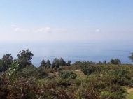  Купить земельный участок с видом на море в Сарпи, Грузия. У таможни. Фото 3