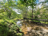 Купить частный дом с земельным участком в пригороде Озургети, Грузия. У реки. Фото 2