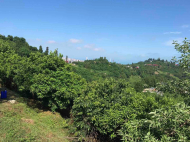 Land parcel, Ground area for sale in the suburbs of Batumi. Saliʙauri. Land with sea view. Photo 9