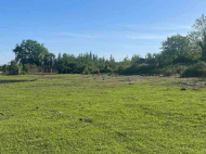 Land parcel, Ground area for sale in Senaki, Georgia. Photo 2