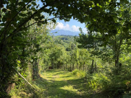 Продается частный дом с земельным участком в Цкаврока, Грузия.  Фото 3