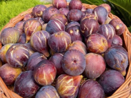 Купить частный дом с земельным участком в пригороде Батуми, Грузия. Мандариновый сад, Фруктовый сад. Ореховый сад. Виноградник. У реки. Фото 8