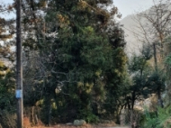 Купить частный дом с земельным участком в пригороде в Эрге, Грузия. Продается дом с земельным участком в красивом месте. У реки. Фото 23