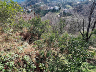 Продается дом с земельным участком в Бобоквати, Грузия. У реки. Фото 9