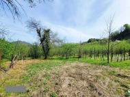 House for sale with a plot of land in the suburbs of Ozurgeti, Georgia. Photo 3