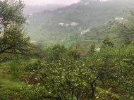 Land parcel, Ground area for sale in the suburbs of Batumi, Georgia. Photo 3