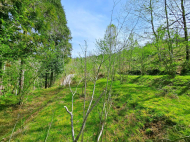 Land parcel, Ground area for sale in a resort district of Chakvi, Georgia. Near the river. Photo 4