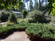 A house in a reserved forest, a forest zone of the near Moscow region. Photo 11