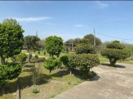 House for sale with a plot of land in Darcheli, Georgia. Walnut garden. Photo 3