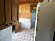 Купить дом с земельным участком в пригороде Самтредиа, Грузия. Фруктовый сад. Ореховый сад. Фото 4