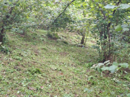 House for sale in a resort district of Xala, Georgia. Near the river. Photo 9