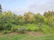 House for sale with a plot of land in the suburbs of Ozurgeti, Georgia. Photo 19