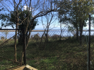 მიწის ნაკვეთის ყიდვა ქალაქგარეთ ფოთი, საქართველო. მდინარესთან. ფოტო 2