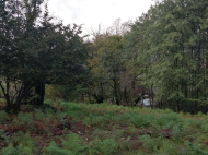 Land plots for sale in Keda district Adjara, Georgia. Photo 2