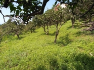 Продается земельный участок с видом на море. Зеленый мыс, Батуми, Грузия. Фото 5