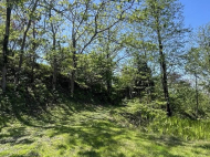 House for sale with a plot of land in the suburbs of Batumi, Georgia. Near the river. Photo 3