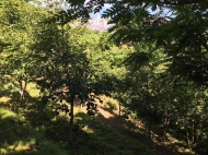 Продается земельный участок в пригороде Батуми, Грузия. Фото 3