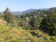Land for sale on the top of Tkhilnari, Adjara, Georgia. Photo 2