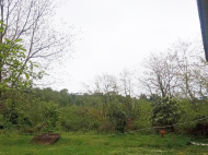 House for sale with a plot of land in Natanеbi. House for sale in a resort district of Natanebi, Georgia. Photo 12