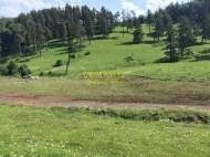 Ground area ( A plot of land ) for sale in Bakuriani. Georgia. Near the cableway Photo 7