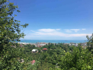 House for sale with a plot of land in the suburbs of Batumi, Georgia. Photo 3