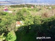 House for sale with a plot of  land and orchard and tangerine garden in Akhalsopeli, Batumi, Georgia. Photo 14