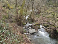 Land parcel, Ground area for sale in a picturesque place. Photo 2