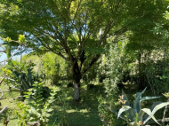 Купить частный дом с земельным участком в пригороде Зугдиди, Грузия. Фото 3