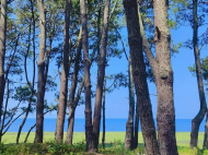 Land parcel, Ground area for sale at the seaside of Ureki, Georgia. Photo 2