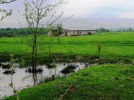 Продается земельный участок с фермой в пригороде Зестафони, Грузия. Действующий бизнес. Фото 6