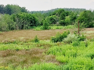 Land parcel, Ground area for sale at the seaside of Shekvetili, Georgia. Photo 4