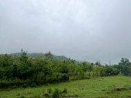 House for sale with a plot of land in Zugdidi, Georgia. Photo 6