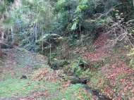 ვიყიდი კერძო სახლს საკურორტო რაიონში ჩაქვში, ჩაისუბანი. ფოტო 12