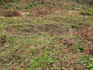 Продается земельный участок в пригороде Батуми, Грузия. Фото 5